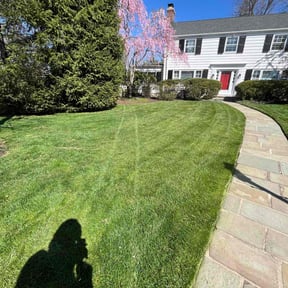 yard work by Levi Thomas reviewed on August 20, 2025