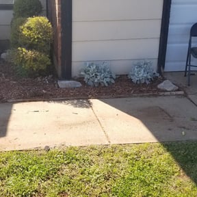 Flower Bed Weeding by Blue Diamond Cleaning Services reviewed on November 25, 2019