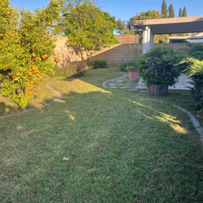 Other by Royal Scenery LLC reviewed on August 20, 2025