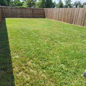 landscaping by Paint by Ponch reviewed on August 15, 2025
