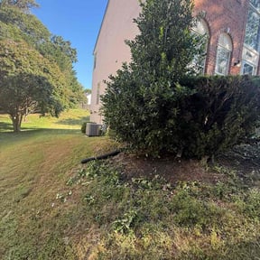 Bush Trimming by 5 J&#039;s Lawn Care Service reviewed on November 20, 2025