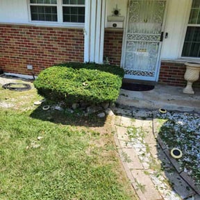 Bush Trimming by Green clover group llc reviewed on August 19, 2025