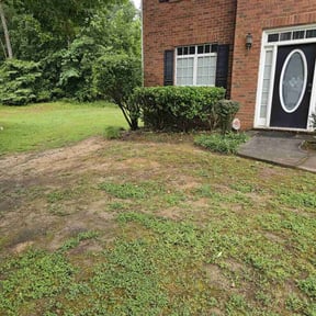 Bush Trimming by Best cuts lawncare reviewed on August 20, 2025