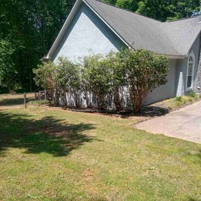 Bush Trimming by Phillip's Lawn care reviewed on April 19, 2026