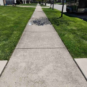 Leaf Removal by Los Sebas Lawnscap reviewed on August 22, 2024