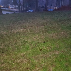 Leaf Removal by Kingdom Men Lawncare &amp;amp; Landscaping reviewed on September 28, 2025