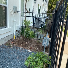 Bush Trimming by ClearCoast Lawn Solutions reviewed on August 20, 2025