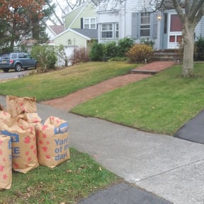 Leaf Removal by Chris’s Lawn Service reviewed on September 8, 2025