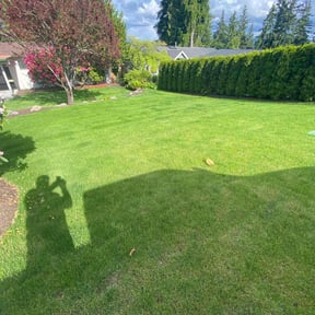 landscape maintenance by Prolific Lawns reviewed on August 21, 2025