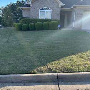 yard service by Hermano Landscape reviewed on August 16, 2025