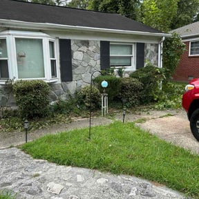 Bush Trimming by Re Image lawn care reviewed on November 19, 2025