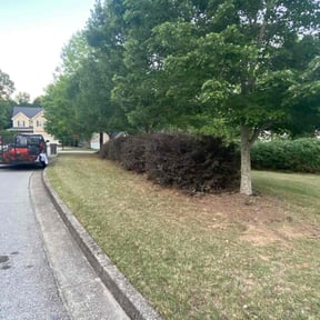 Bush Trimming by Pack Lawncare reviewed on August 18, 2025