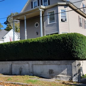Bush Trimming by LD Brown Landscaping And Pressure Washing reviewed on August 18, 2025