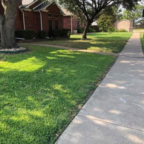 gardening service by LONE STAR LAWN CARE SERVICES reviewed on December 11, 2025