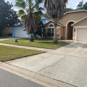 lawn care services by Fla Lawn Pros LLC reviewed on February 19, 2024