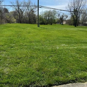 yard maintenance by Lawn Care reviewed on August 16, 2025