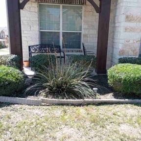 Bush Trimming by Visions Landscaping reviewed on August 18, 2025