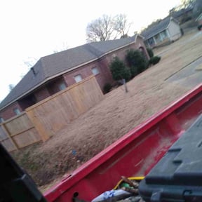 Leaf Removal by Tavares landscape service reviewed on September 21, 2025