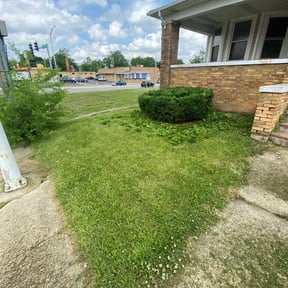 Bush Trimming by Mora Brothers Tree and Landscaping reviewed on August 21, 2025