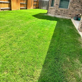 turf maintenance by AR landscaping reviewed on August 16, 2025