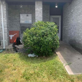 Bush Trimming by JM Restoration Inc reviewed on August 20, 2025