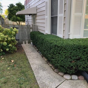 Bush Trimming by D&amp;G Lawn Care/Pressure Washing reviewed on August 17, 2025