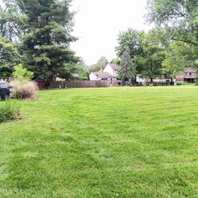 landscape maintenance by Tucker Enterprises reviewed on August 15, 2025