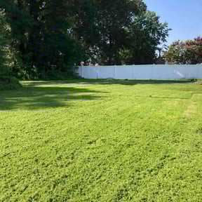 residential landscaping by A 1 Lawn care reviewed on August 17, 2025