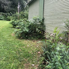 Bush Trimming by Precise Cut Lawn Care reviewed on August 21, 2025