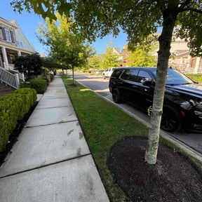 turf care by Green lawn care reviewed on July 31, 2025