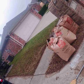 Leaf Removal by Ego reviewed on July 8, 2026