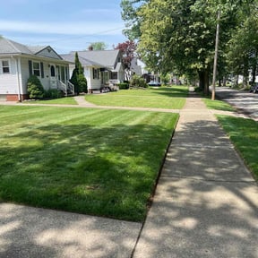 landscape maintenance by Trip reviewed on August 17, 2025