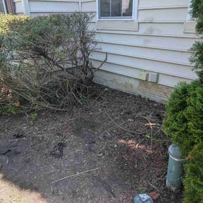 Flower Bed Weeding by Yard Authority reviewed on April 24, 2026