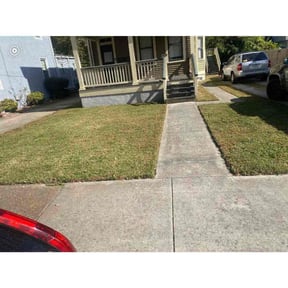 grass cutting by Virgil lawn service reviewed on August 15, 2025