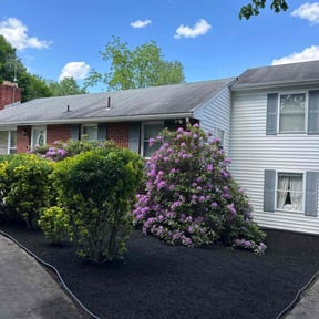 Mulching by Awesome Lawns and More LLC reviewed on August 18, 2025
