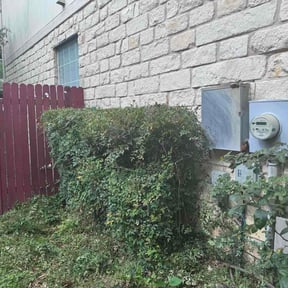 Bush Trimming by Hanna Turf reviewed on April 1, 2026