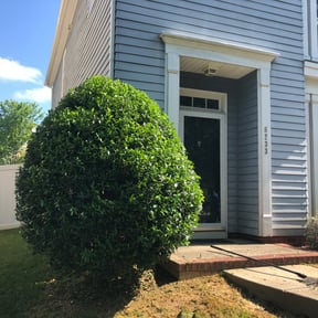 Bush Trimming by Southwest Lawn & Landscaping, LLC reviewed on August 19, 2025
