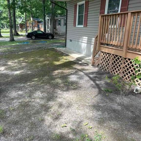 Leaf Removal by Osment Lawn Care reviewed on June 3, 2026