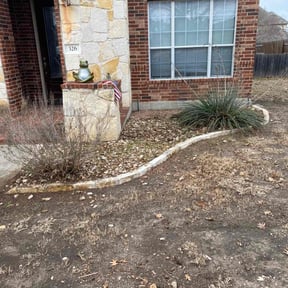 Leaf Removal by Star Pool Services reviewed on February 5, 2026