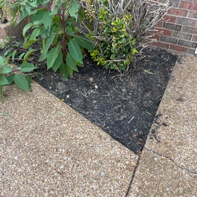 Flower Bed Weeding by Integrity Property Services LLC reviewed on August 17, 2025