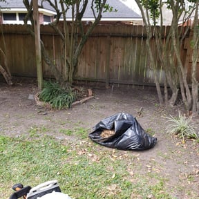 turf maintenance by Nova Verdi Solutions LLC reviewed on April 26, 2025