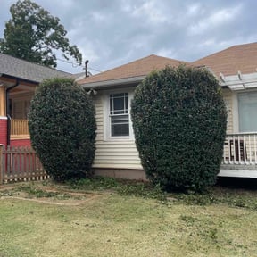 Bush Trimming by Deactivated reviewed on November 8, 2025