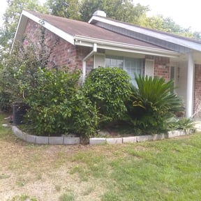 Bush Trimming by Sifu Lawn and Services reviewed on August 19, 2025