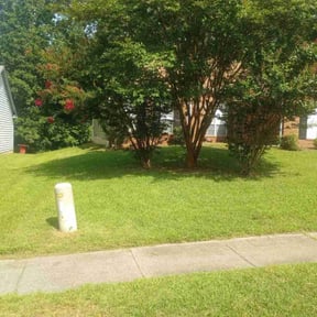 lawn care services by Hector's reviewed on October 13, 2023