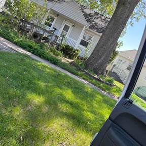 Bush Trimming by MC Landscape Maintenance LLC reviewed on May 5, 2026