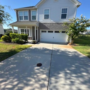 turf care by Nicks tree removal reviewed on October 28, 2024