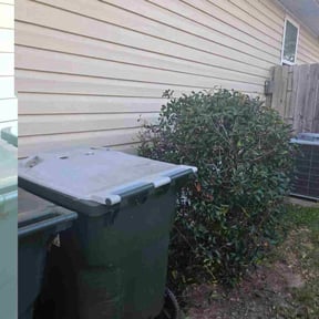 Bush Trimming by Brown Boyz LawnCare reviewed on October 22, 2025