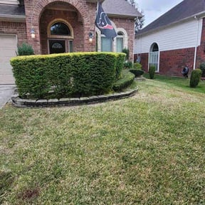 Bush Trimming by S&M land maintenance reviewed on August 21, 2025