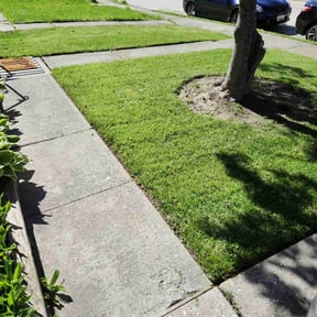 landscape maintenance by M Lawn Care & Landscape reviewed on August 15, 2025