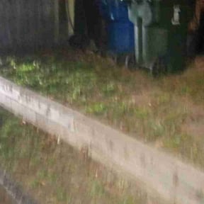 Leaf Removal by Discount Mowing reviewed on September 30, 2025